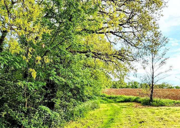 别墅 Maison Insolite Avec Privatif Monbalen
